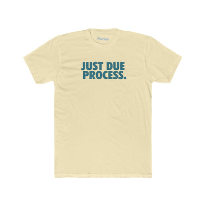 Just Due Process T-Shirt - Hearsay Tees